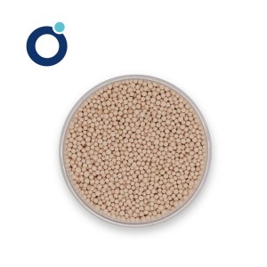 Manufacturer for Mol Sieves - Molecular Sieve JZ-ZHS – JIUZHOU